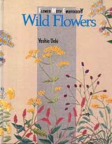 画像: Wild Flowers